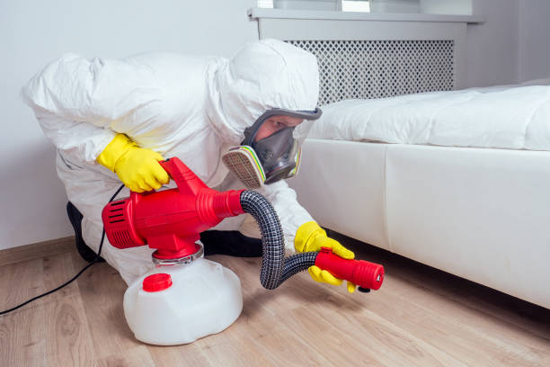 Best Pest Prevention Services  in Rolling Hills, CA